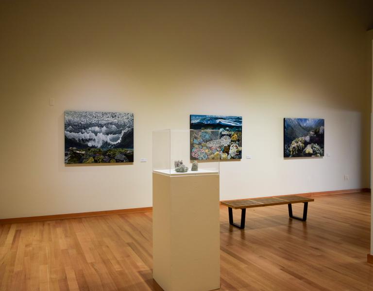 photo of gallery