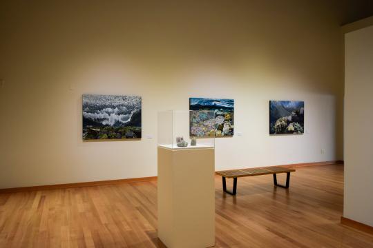 photo of gallery
