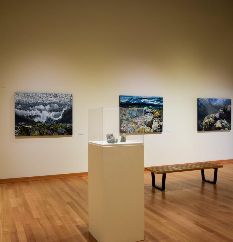 photo of gallery